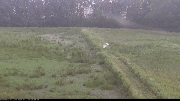 Cell 3 to 4_24-06-21_08-20-28-33