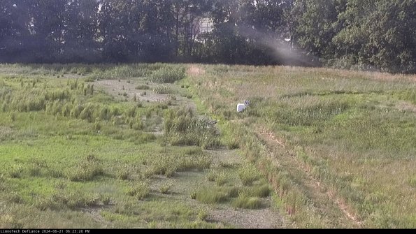 Cell 3 to 4_24-06-21_18-23-21-34