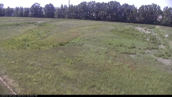 Cell 3_24-06-21_16-09-08-33