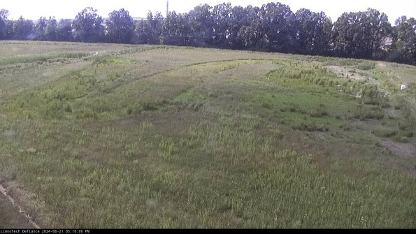 Cell 3_24-06-21_17-16-07-32