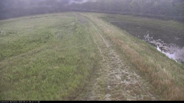 Cell 4 to Basin_24-06-21_08-21-12-35