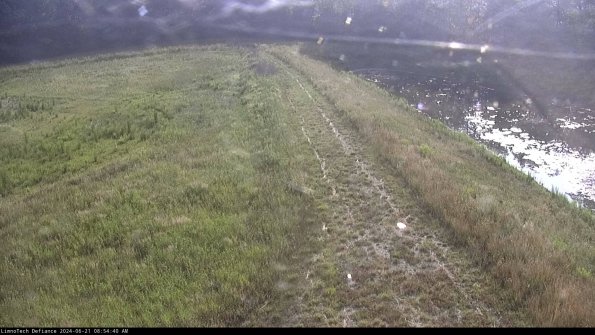 Cell 4 to Basin_24-06-21_08-54-41-33