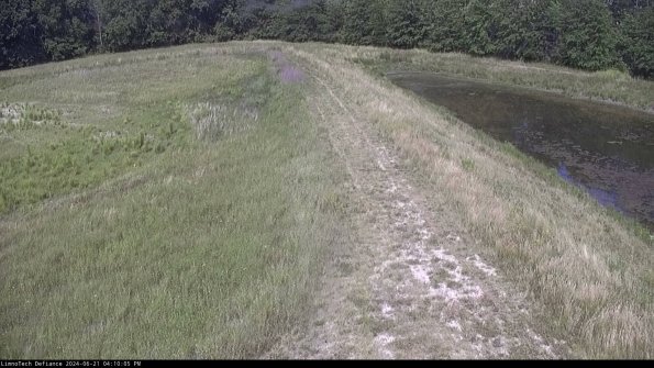 Cell 4 to Basin_24-06-21_16-10-06-35