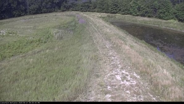 Cell 4 to Basin_24-06-21_16-43-36-37