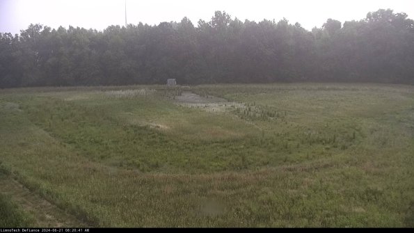 Cell 4_24-06-21_08-20-42-32