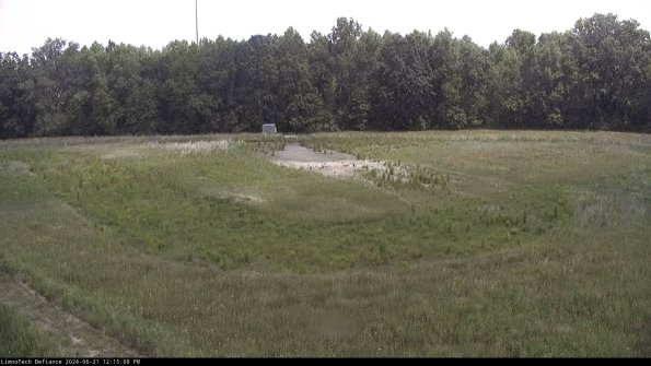 Cell 4_24-06-21_12-15-09-35