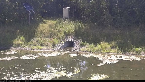 Basin Inflow_24-06-24_11-09-52-31