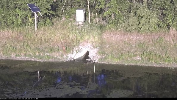 Basin Inflow_24-06-24_20-05-43-50