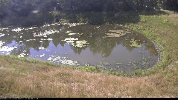 Basin Right_24-06-24_10-03-09-35