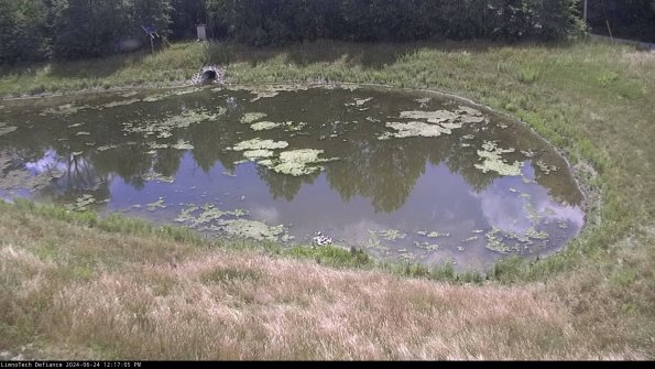 Basin Right_24-06-24_12-17-06-33