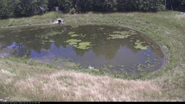 Basin Right_24-06-24_14-31-04-34