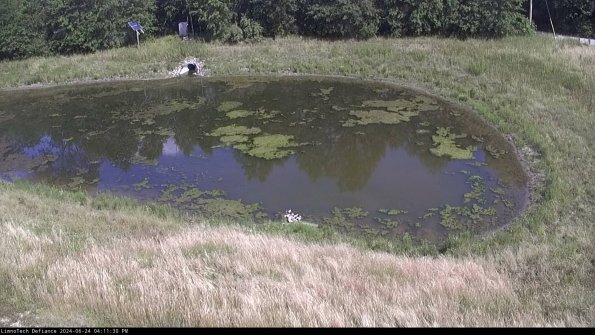 Basin Right_24-06-24_16-11-31-32