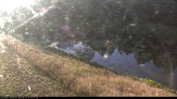 Basin_24-06-24_07-15-11-45