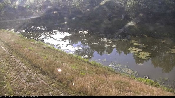 Basin_24-06-24_08-55-40-38