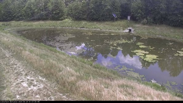 Basin_24-06-24_13-57-04-52