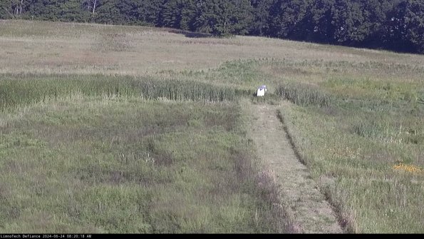 Cell 1 to 2_24-06-24_08-20-19-31