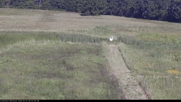 Cell 1 to 2_24-06-24_08-53-49-33