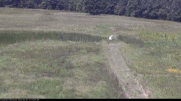 Cell 1 to 2_24-06-24_12-14-44-32