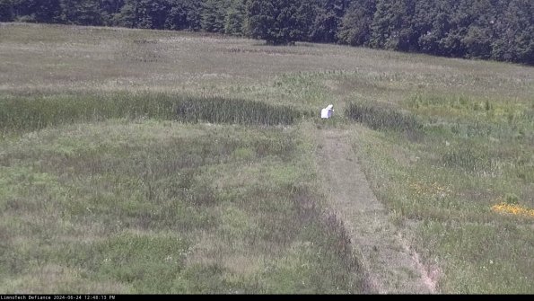 Cell 1 to 2_24-06-24_12-48-14-34