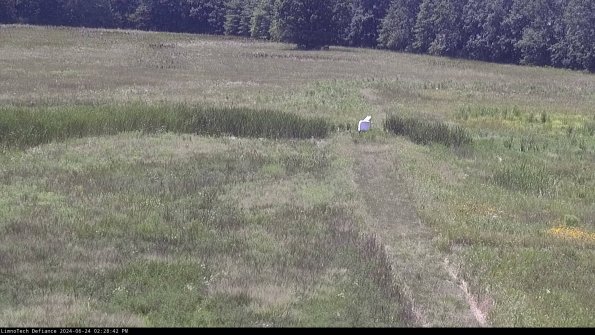 Cell 1 to 2_24-06-24_14-28-43-33