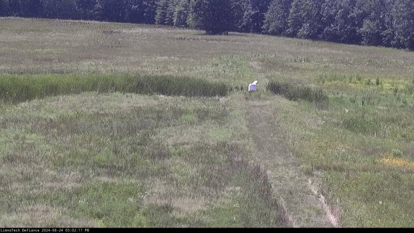 Cell 1 to 2_24-06-24_15-02-12-31