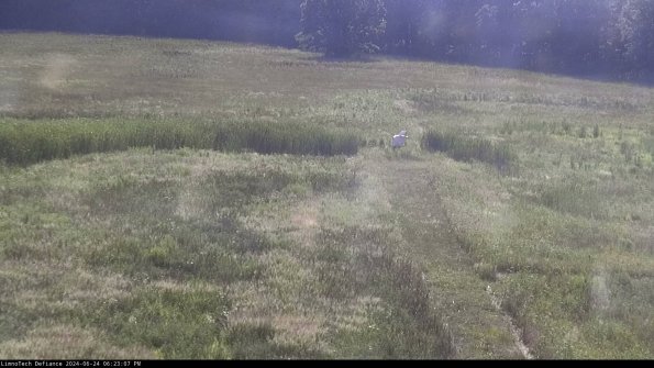 Cell 1 to 2_24-06-24_18-23-08-32