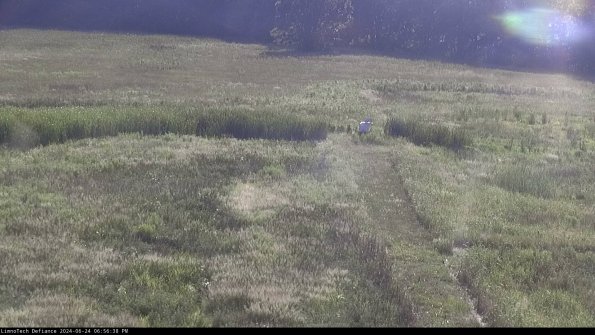 Cell 1 to 2_24-06-24_18-56-39-34