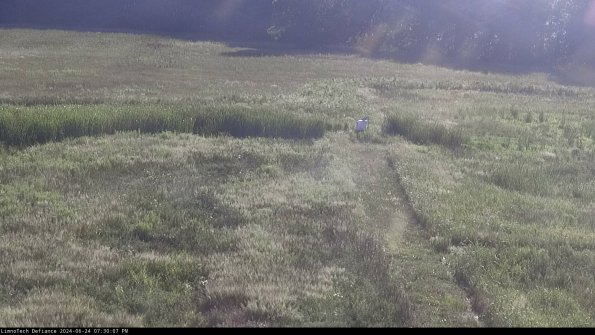 Cell 1 to 2_24-06-24_19-30-08-32