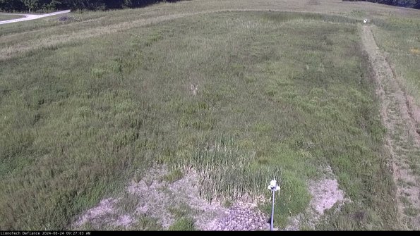 Cell 1_24-06-24_09-27-04-31