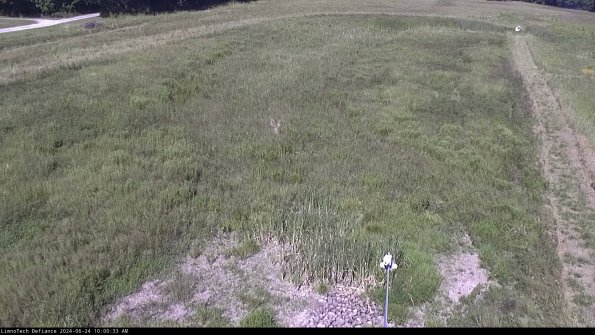 Cell 1_24-06-24_10-00-34-33