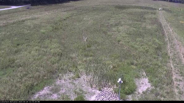 Cell 1_24-06-24_12-14-30-34