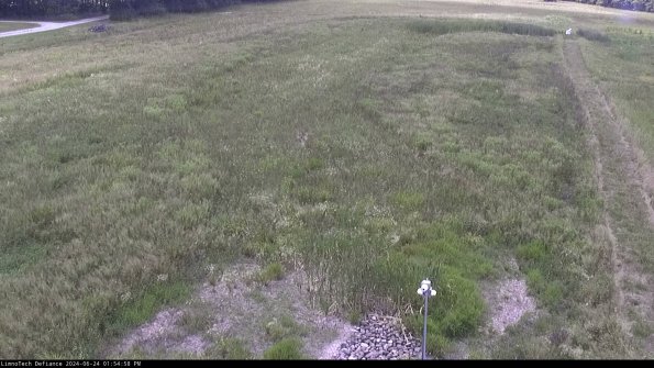 Cell 1_24-06-24_13-54-59-36