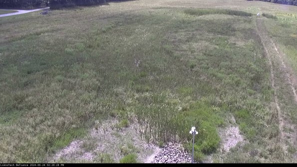 Cell 1_24-06-24_14-28-29-35