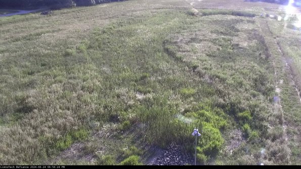 Cell 1_24-06-24_18-56-25-32