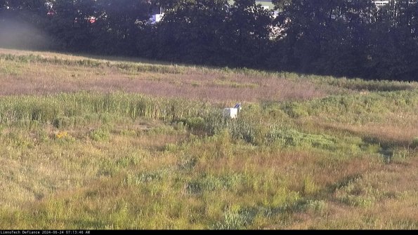 Cell 2 to 3_24-06-24_07-13-47-40