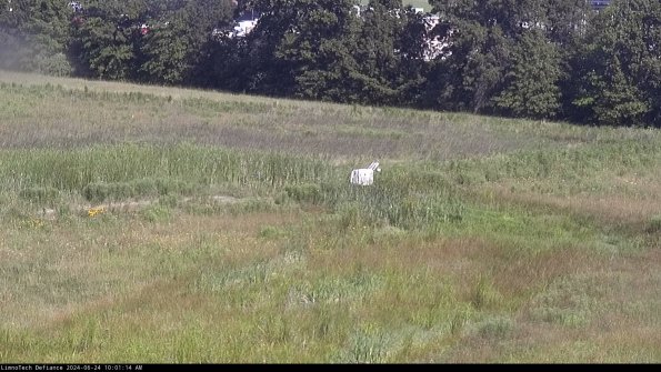 Cell 2 to 3_24-06-24_10-01-14-47