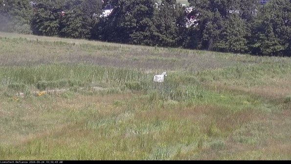 Cell 2 to 3_24-06-24_10-34-44-36