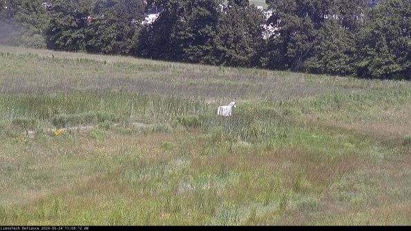 Cell 2 to 3_24-06-24_11-08-13-38