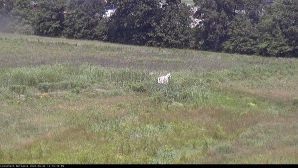 Cell 2 to 3_24-06-24_12-15-10-48