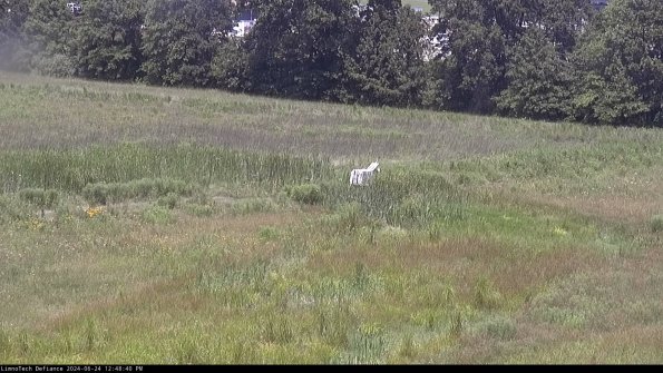 Cell 2 to 3_24-06-24_12-48-40-50