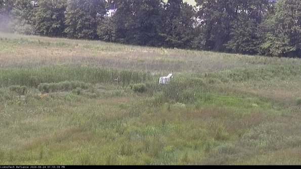 Cell 2 to 3_24-06-24_13-55-39-54