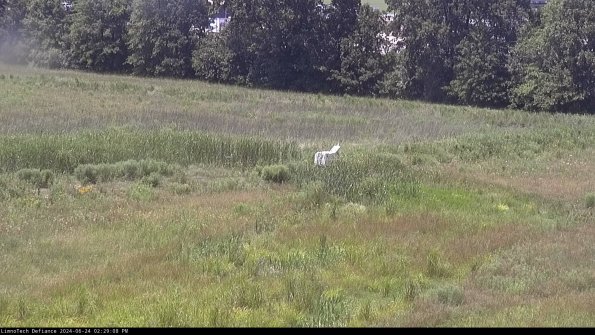 Cell 2 to 3_24-06-24_14-29-09-39