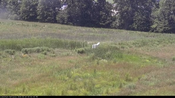 Cell 2 to 3_24-06-24_15-02-38-54