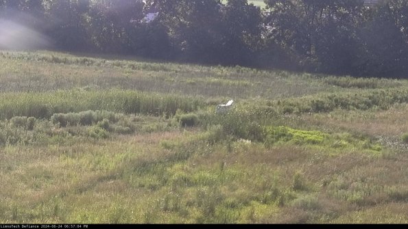 Cell 2 to 3_24-06-24_18-57-05-40