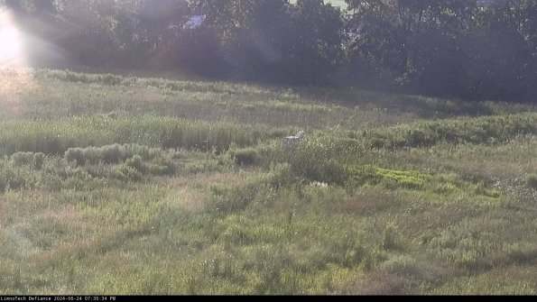 Cell 2 to 3_24-06-24_19-30-34-45