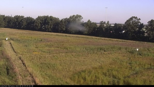 Cell 2_24-06-24_07-47-03-34