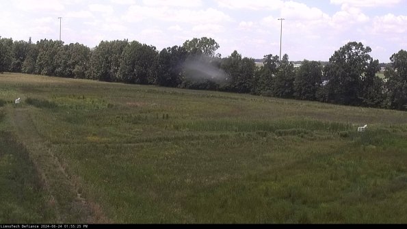 Cell 2_24-06-24_13-55-26-42