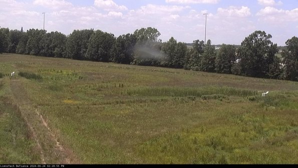 Cell 2_24-06-24_14-28-56-37