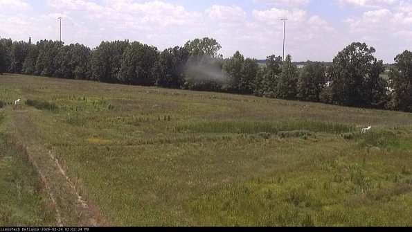 Cell 2_24-06-24_15-02-25-42