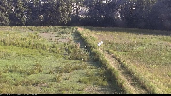 Cell 3 to 4_24-06-24_08-21-14-34